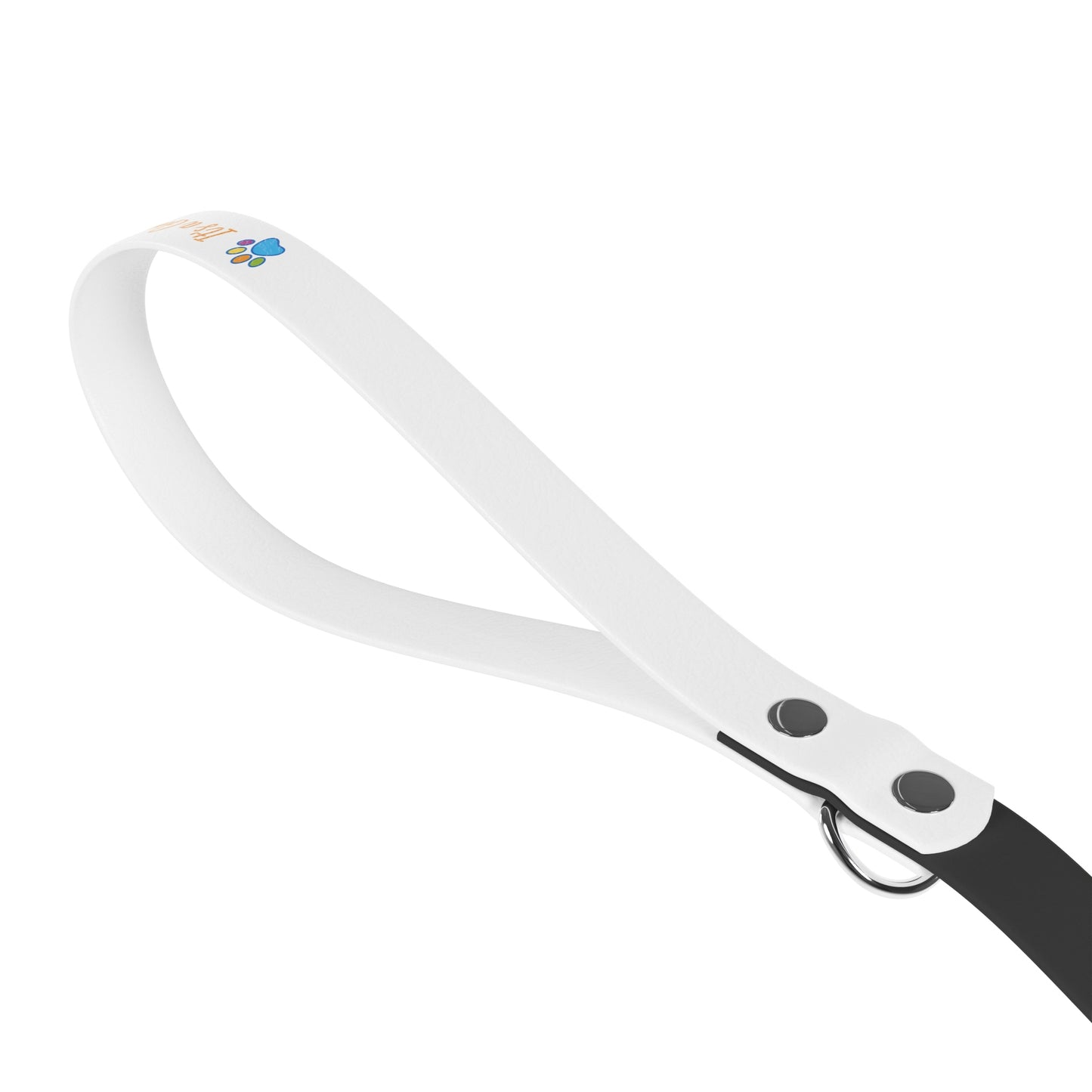 "It's a Good Day for a Great Day" - Pet Leash